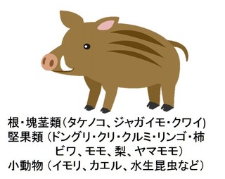 01.jpg